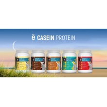   Casein Protein 100% 450 